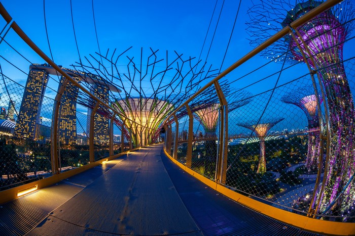 Gardens by the Bay Singapore at Dusk with Supertrees
