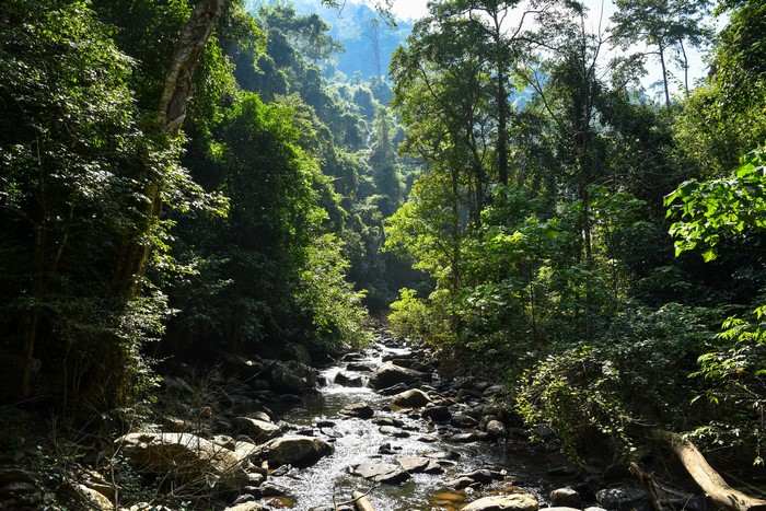 Pala-U Waterfall in Thailand