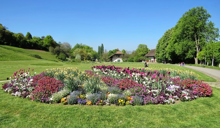 Merian Garten Basel, Switzerland with Tulips and Daffodils