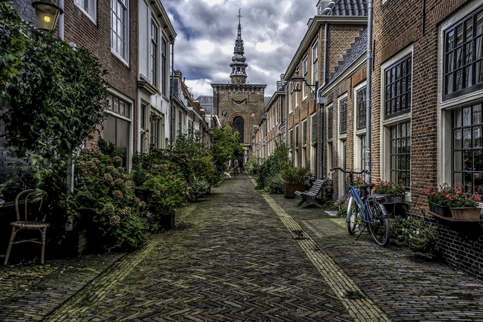 Street in Haarlem, Netherlands with Church Tower