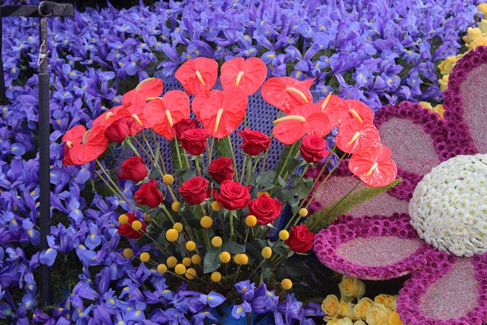 4K Pasadena California Flower Display with Roses and Irises