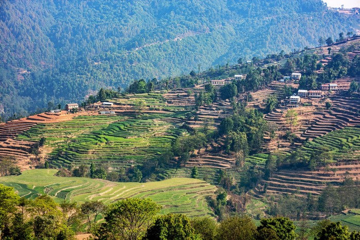 Terraced Fields and Houses on a Mountain in Nepal