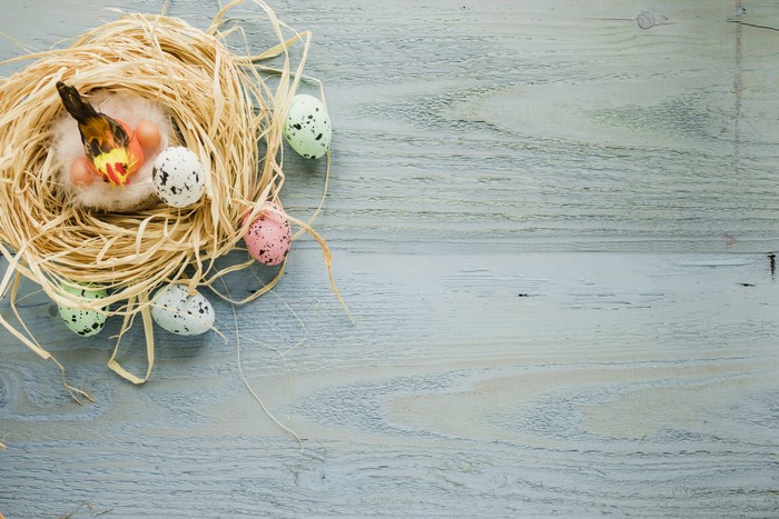 Easter Nest with Bird and Eggs on Wood Planks