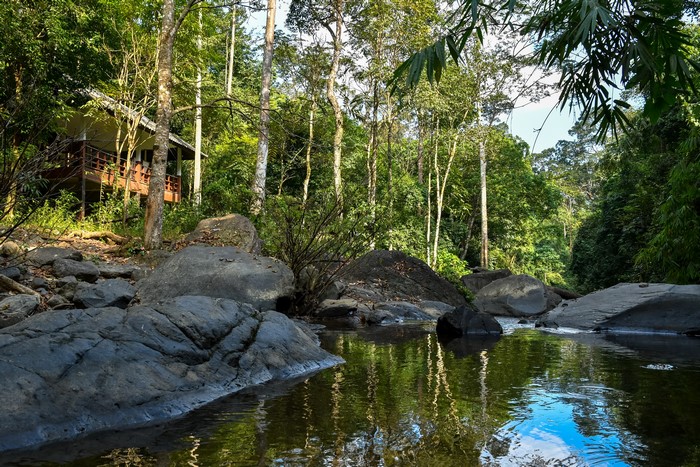 Wooden cabin by a river with rocks and trees