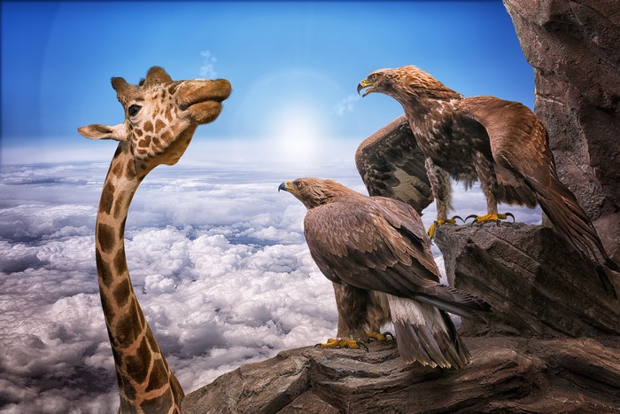 Giraffe and Eagles on Rocky Outcrop Above Clouds