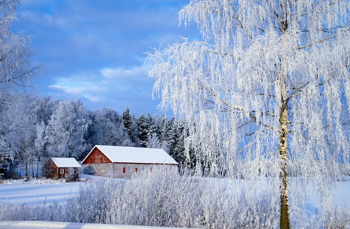 Winter scene with houses and frosted trees in Paimio, Finland