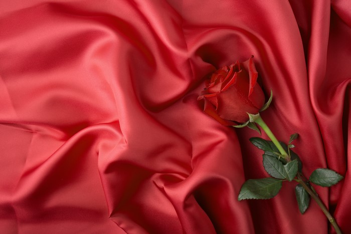Red Rose on Red Silk Fabric