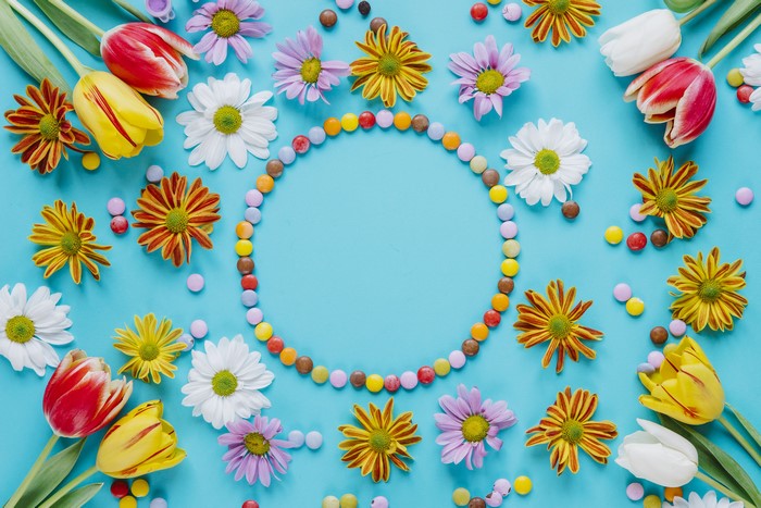 Tulips and Chrysanthemums with Candy on Blue Background