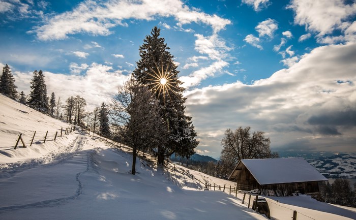 Winter landscape with snow-covered trees and a barn in Switzerland