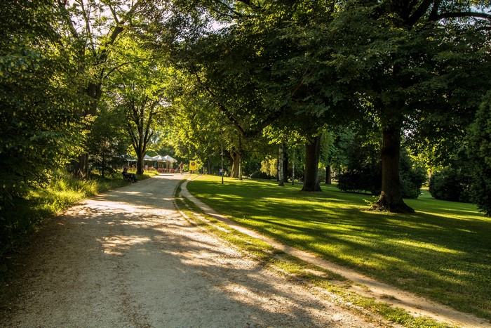 Park path with trees and lawn in Kannenfeldpark, Switzerland