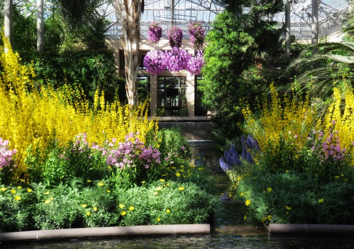 Longwood Gardens Conservatory with Yellow and Purple Flowers