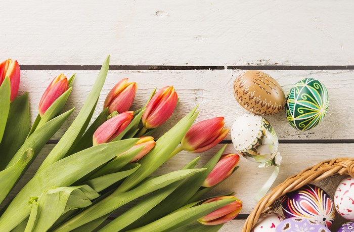 Easter Tulips and Decorated Eggs on Wood Planks