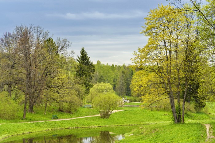Pavlovsk Park in St. Petersburg, Russia during Spring