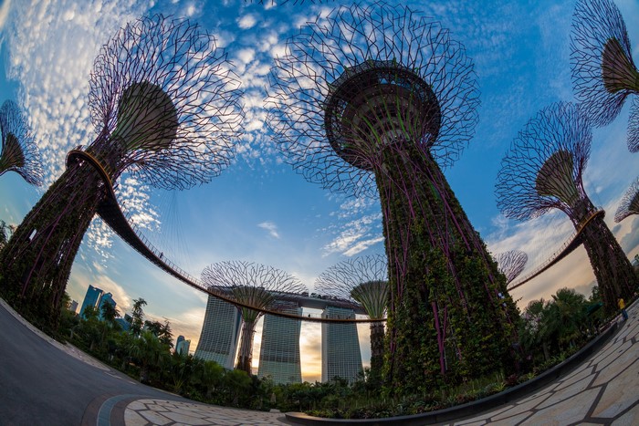 Gardens by the Bay, Singapore