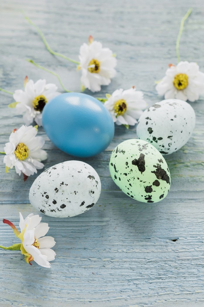 Easter eggs and flowers on wooden background