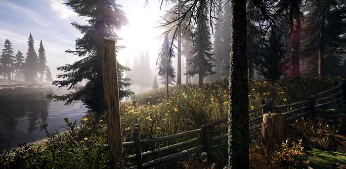 Montana USA River with Spruce Trees and Fence