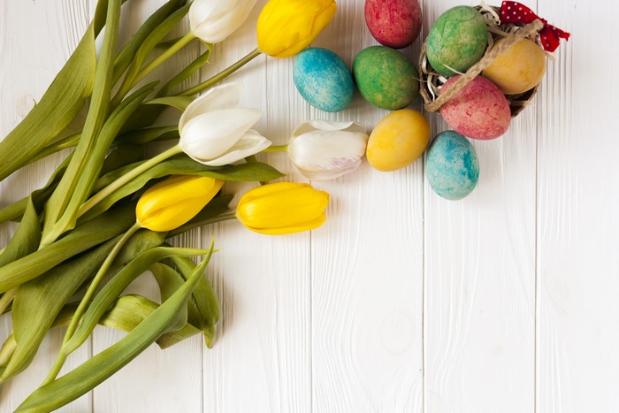 Easter Tulips and Painted Eggs on White Wood