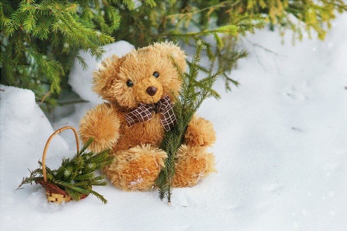 Teddy bear with basket and pine branches in snow