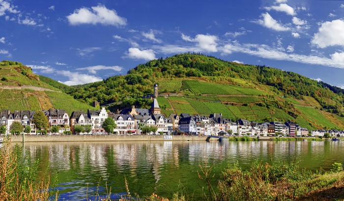 Zell (Mosel) Germany Riverfront with Vineyards and Castle