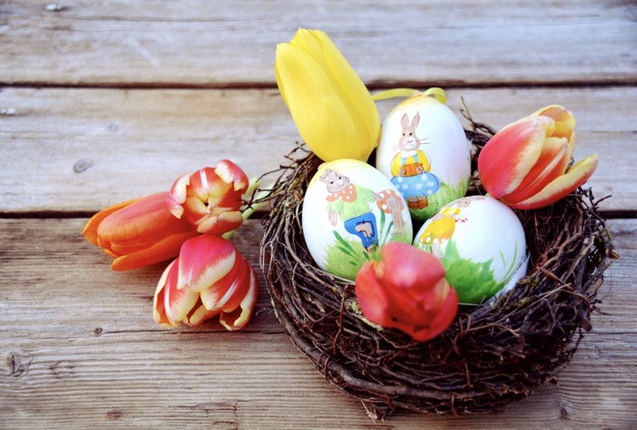 Easter Eggs in Nest with Tulips on Wood