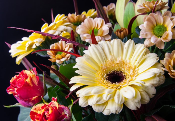 Gerbera daisies and roses bouquet