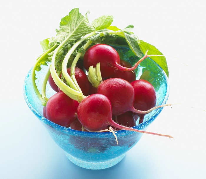 Radishes in a blue bowl