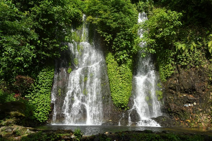 Waterfalls cascading down a rocky cliff in a tropical forest