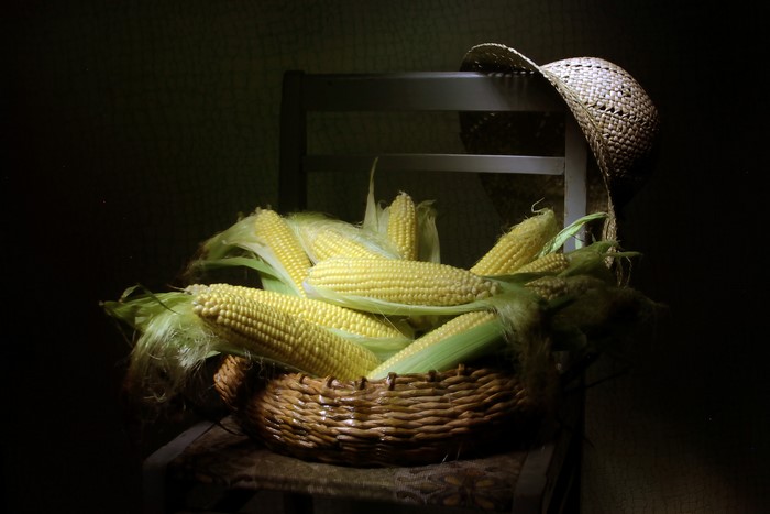 Still-life of corn in a wicker basket on a chair with a hat