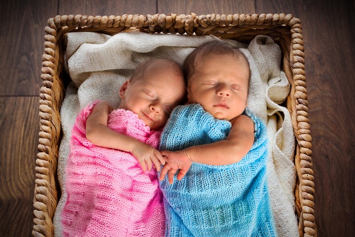 Two Newborn Twins Sleeping in a Basket