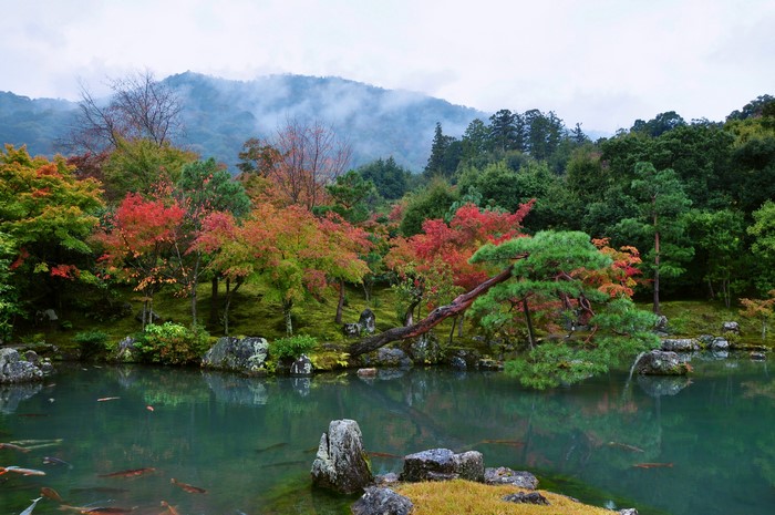 Serene Pond and Trees at Tenryuji Temple Garden, Kyoto