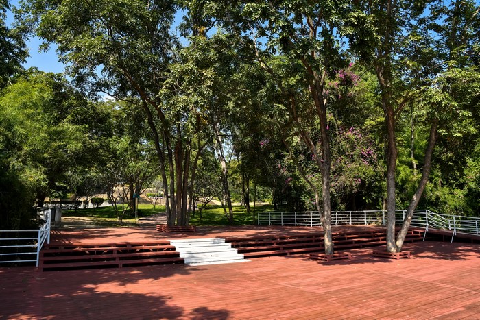 Wooden deck with tiered seating and trees