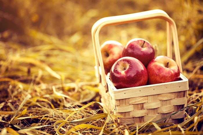 Red apples in a wicker basket on dry grass