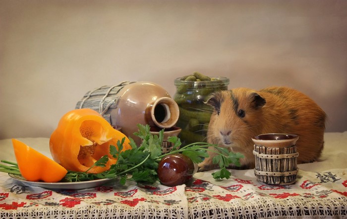 Guinea pig with bell pepper and pickles