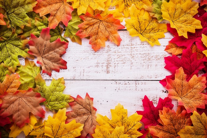 Autumn Maple Leaves on White Wood