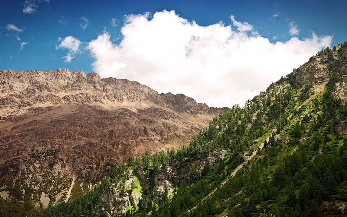 Rocky mountains with green trees and blue sky