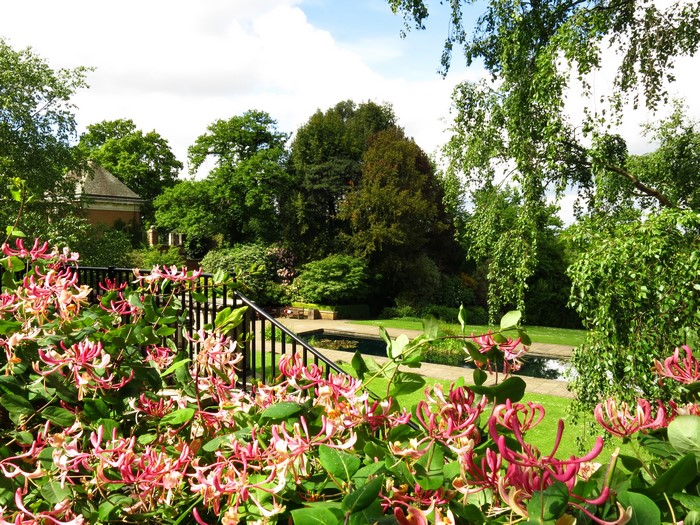 Hill Garden with Honeysuckle and Pond in London
