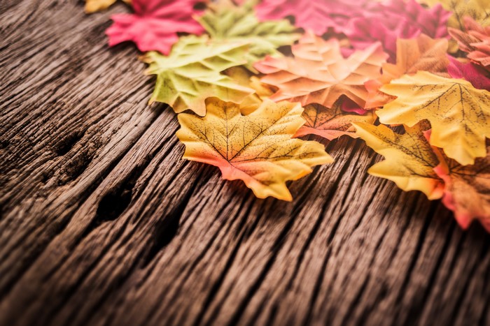 Autumn Maple Leaves on Wood