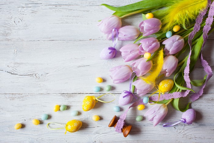 Easter Tulips and Eggs on White Wood