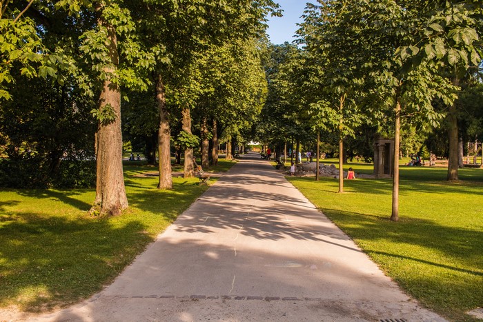 4K Kannenfeldpark Avenue with Trees in Switzerland