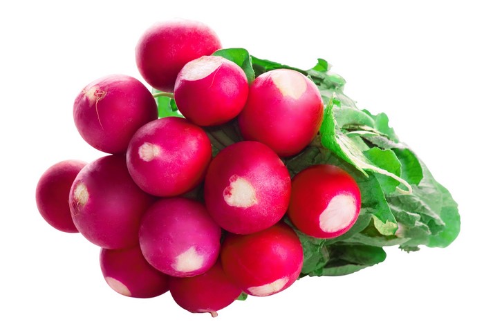 Bunch of radishes with green leaves