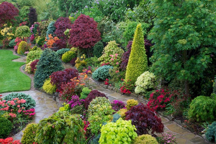 Walsall Garden England Parks Design Shrubs Spruce