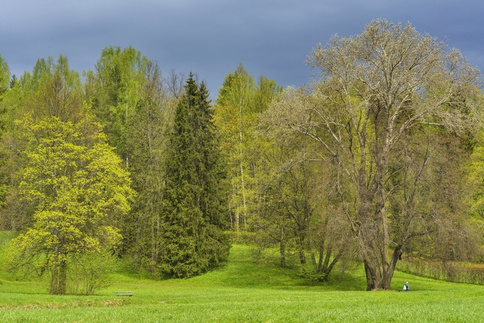 Pavlovsk Park in St. Petersburg, Russia during Spring