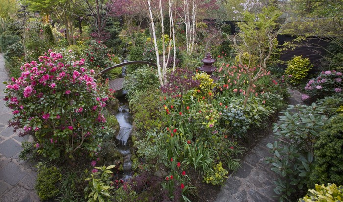 Japanese Garden with Blooming Flowers and Water Feature