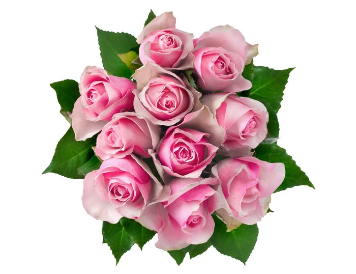 Bouquet of pink roses with green leaves