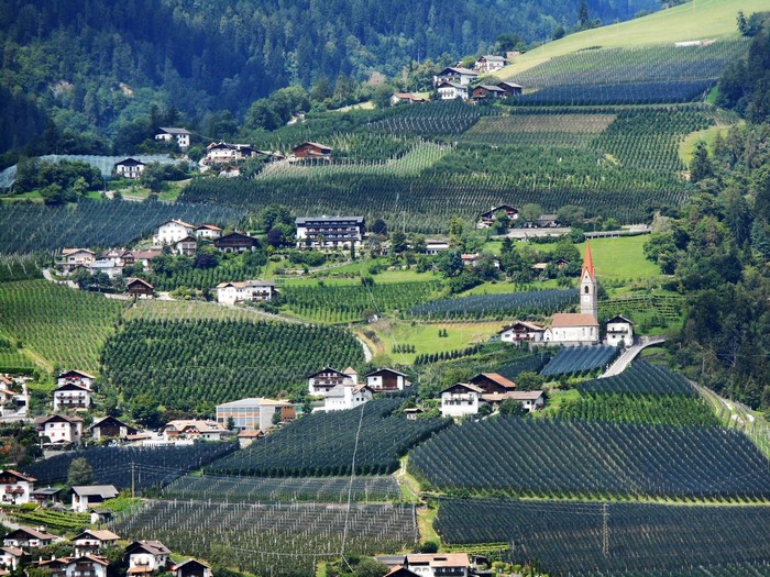 Village and vineyards on a mountainside in Schenna, Italy
