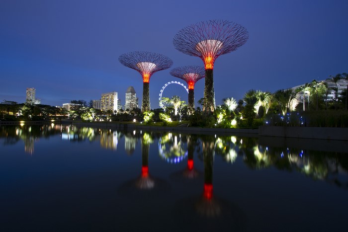 Gardens by the Bay Singapore at night with reflections
