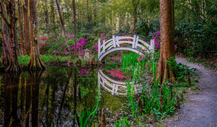 White arched bridge over a pond in a botanical garden