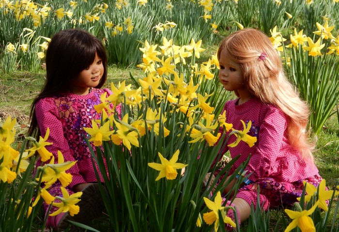 Two dolls in a field of daffodils