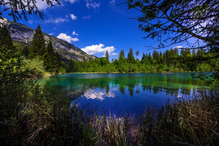 4K Lake Crestasee with Mountains and Forests in Switzerland