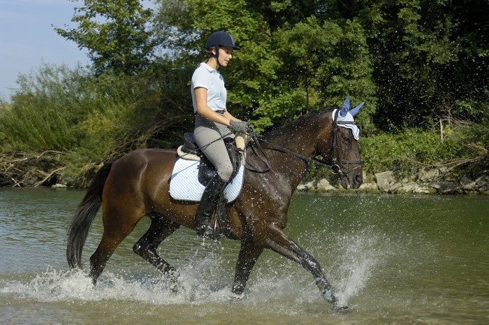 Woman riding a horse through water